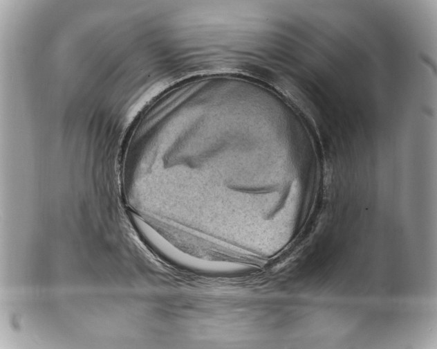 X0000098160789200805151228