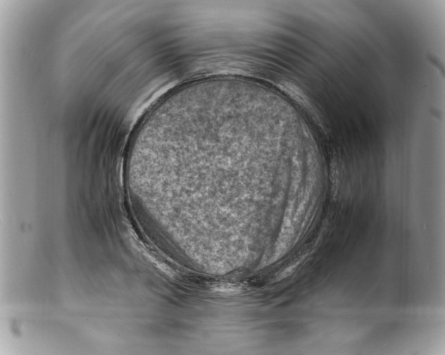 X0000098160790200805151228