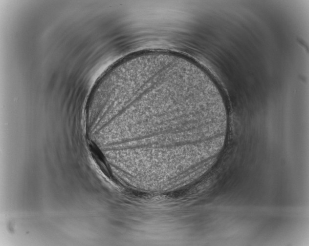 X0000098160791200805151228