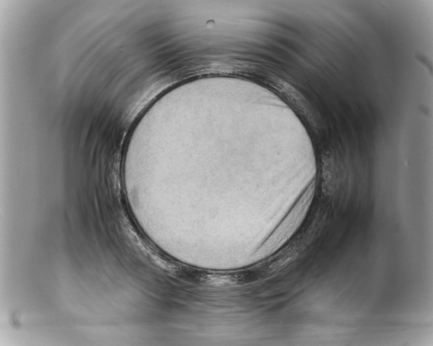 X0000098160794200805151228