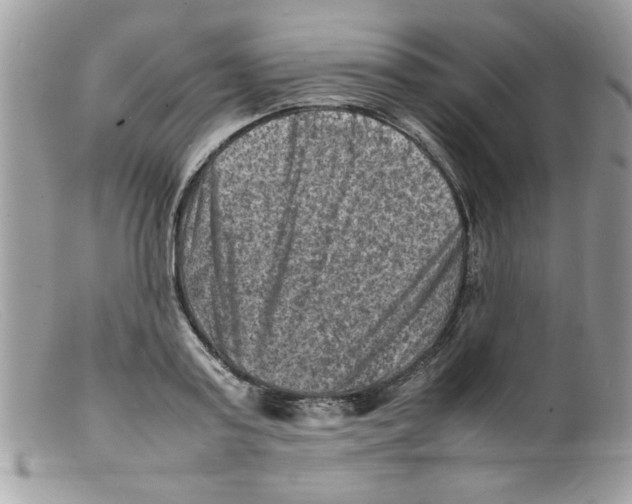 X0000098160795200805151228