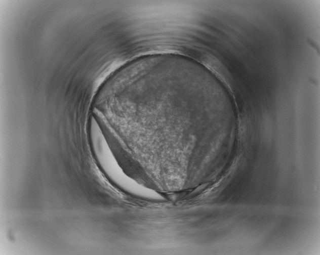 X0000098160797200805151227