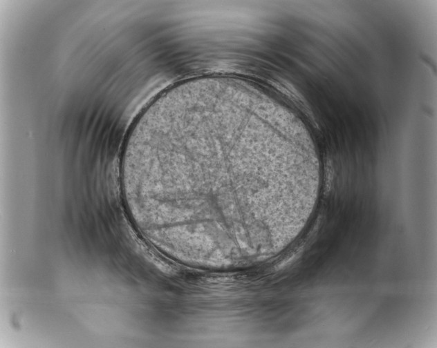 X0000098160798200805151227