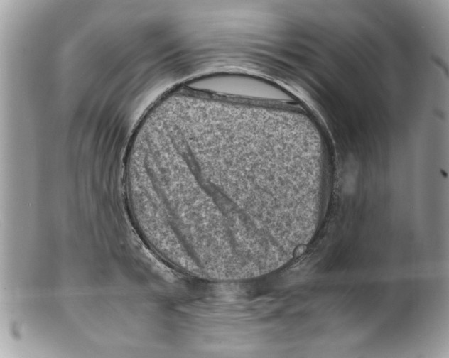 X0000098160799200805151227