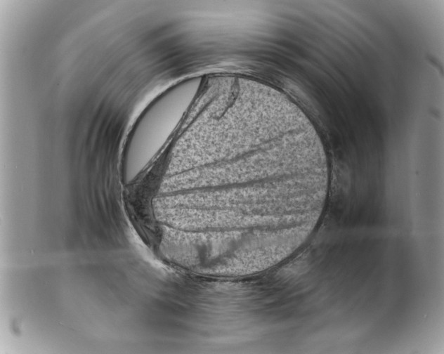 X0000098160800200805151227