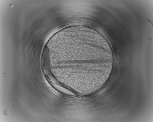 X0000098160803200805151227