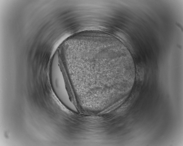 X0000098160804200805151227