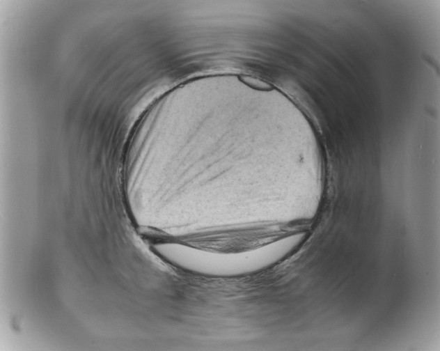 X0000098160805200805151227