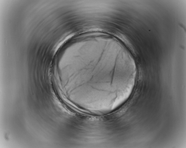 X0000098160806200805151227