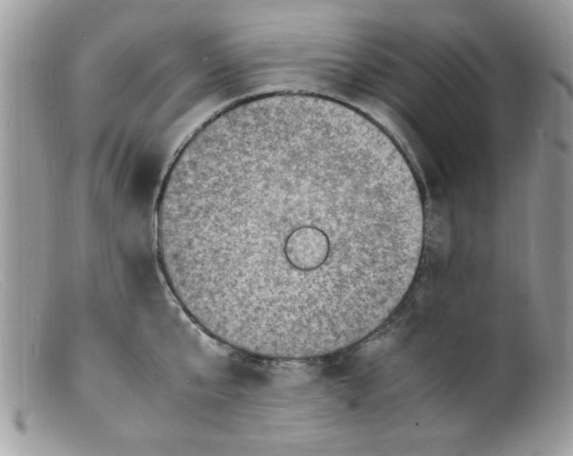 X0000098160807200805151227