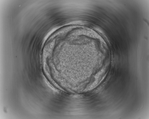 X0000098160808200805151227