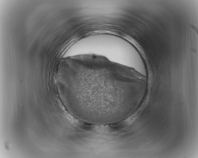 X0000098160809200805151227