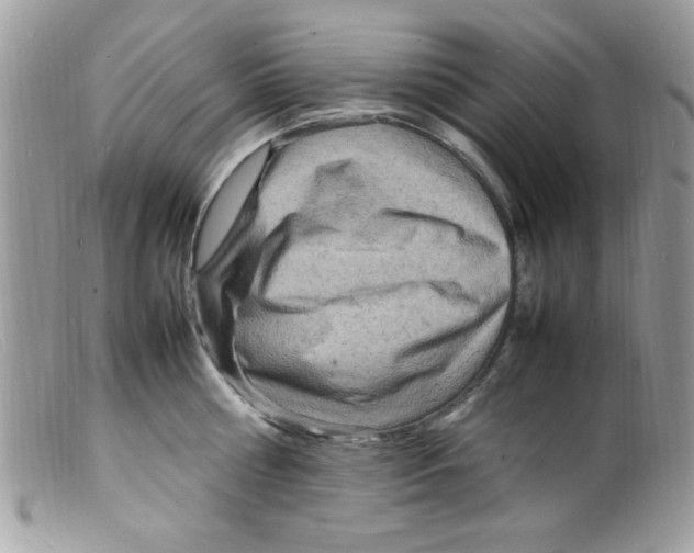 X0000098160810200805151227