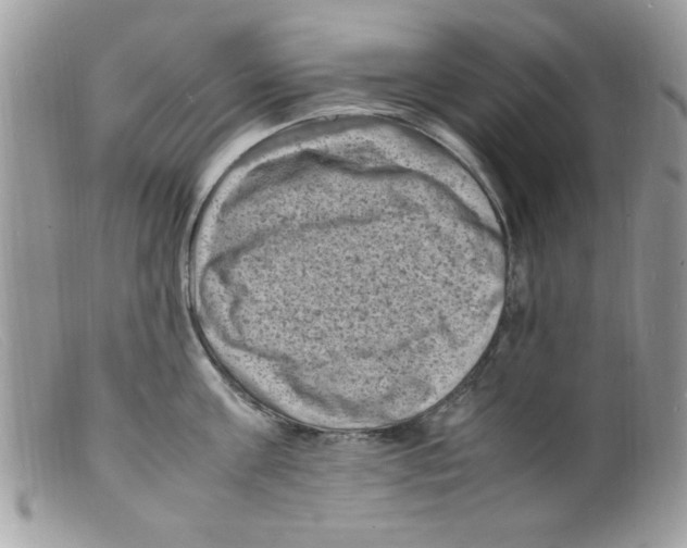 X0000098160811200805151227