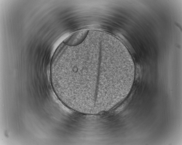 X0000098160812200805151227