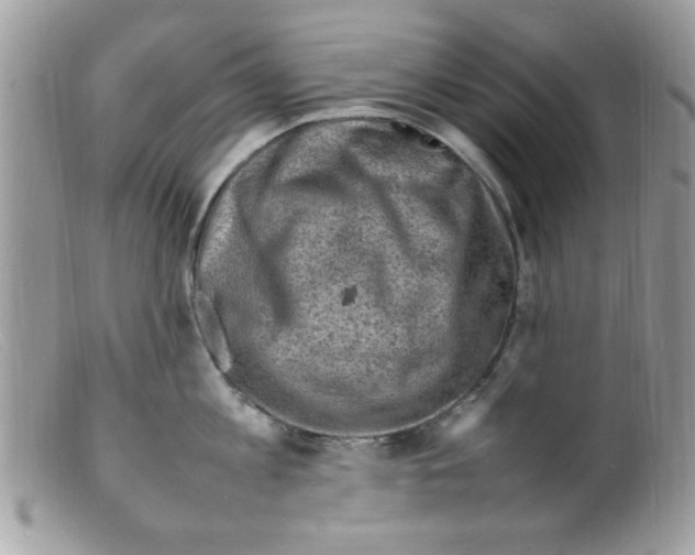 X0000098160813200805151227