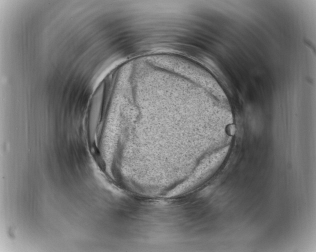 X0000098160814200805151227