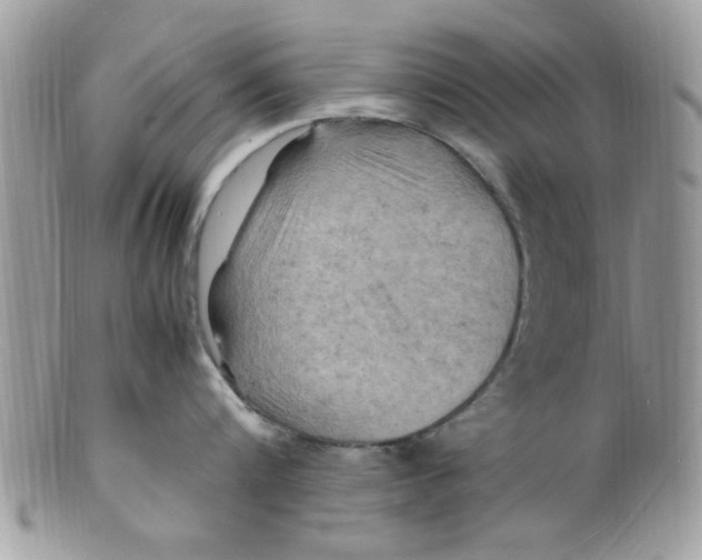 X0000098160816200805151227