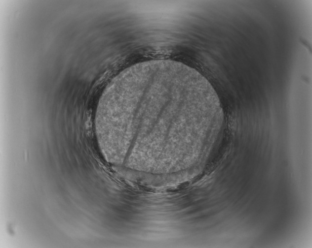 X0000098160818200805151227