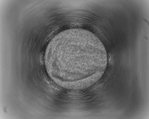 X0000098160819200805151227