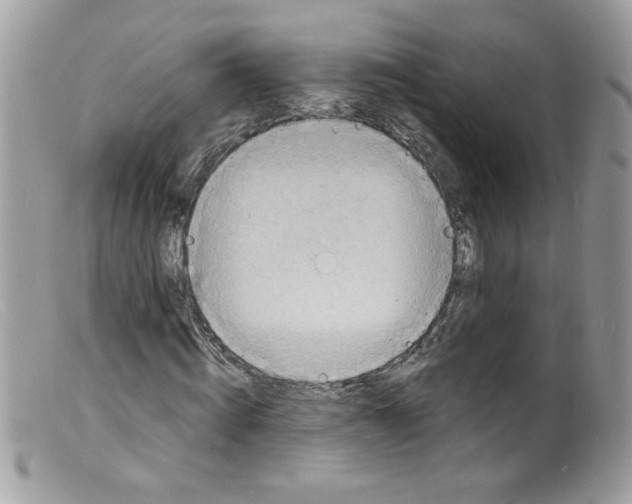 X0000098160820200805151227