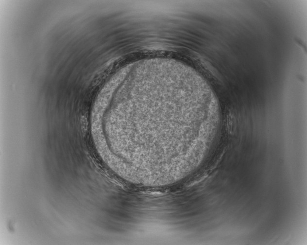 X0000098160821200805151227