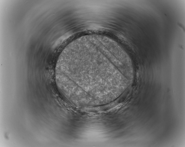 X0000098160822200805151227