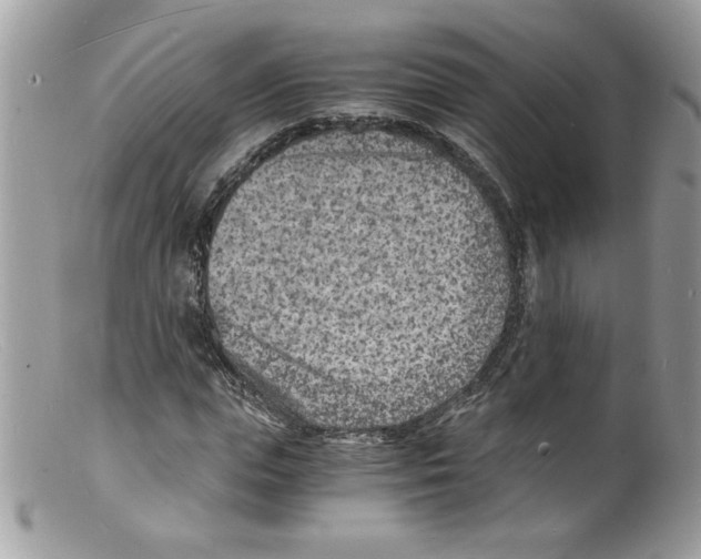 X0000098160823200805151227