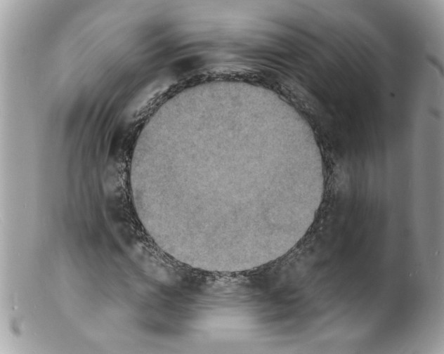 X0000098160824200805151227