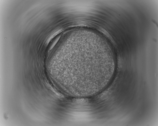 X0000098160826200805151227
