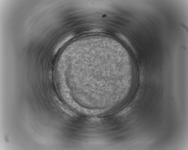 X0000098160827200805151227