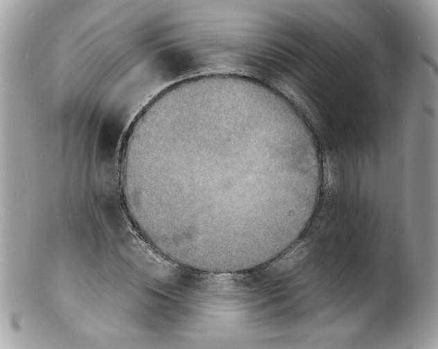 X0000098160828200805151227