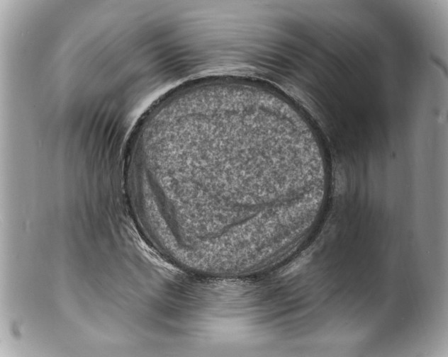 X0000098160830200805151227