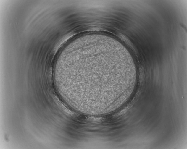 X0000098160831200805151227