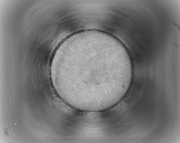 X0000098160832200805151227