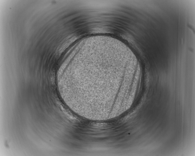 X0000098160833200805151227