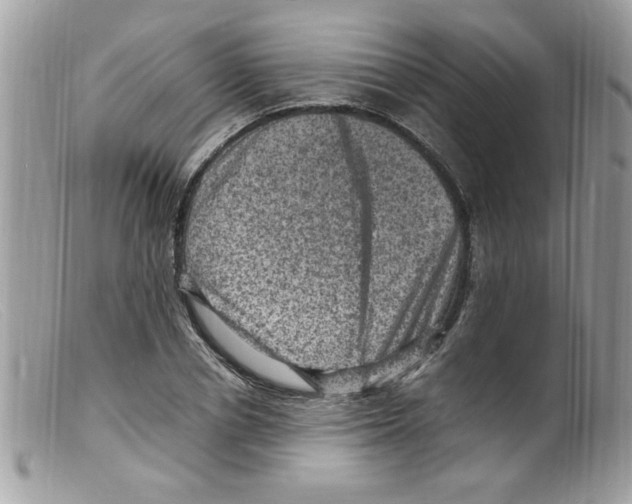 X0000098160834200805151227