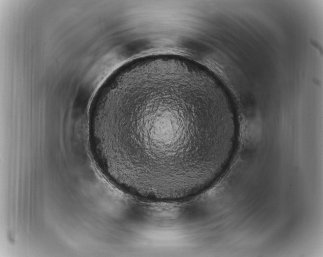 X0000098160836200805151227