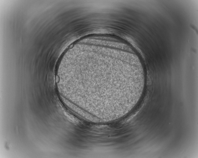 X0000098160837200805151227