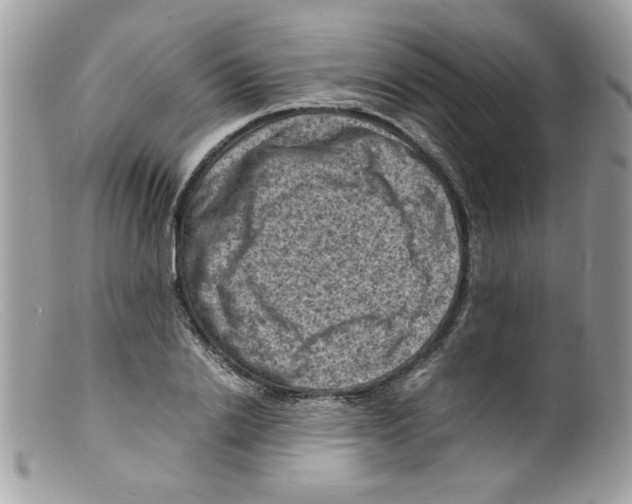 X0000098160838200805151227