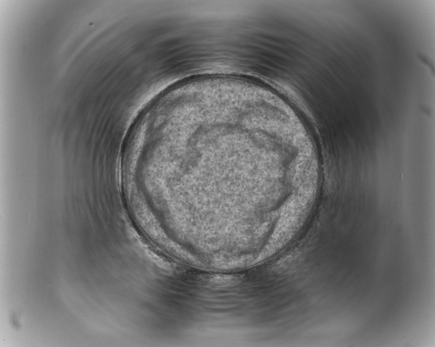 X0000098160839200805151227