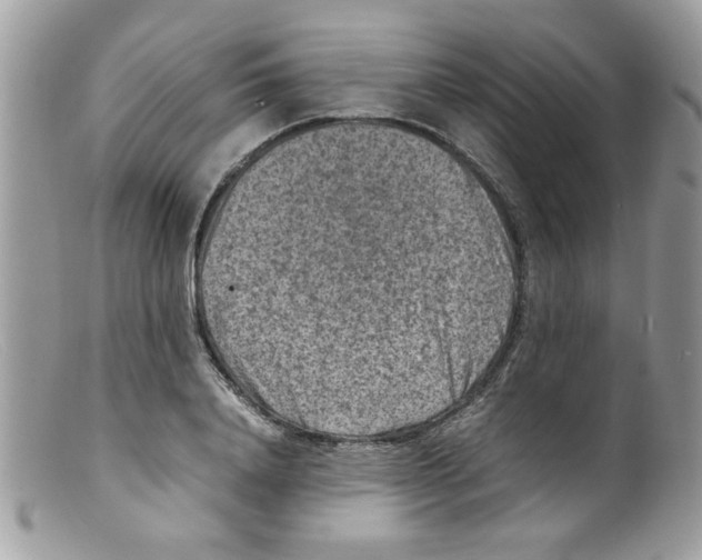 X0000098160840200805151227