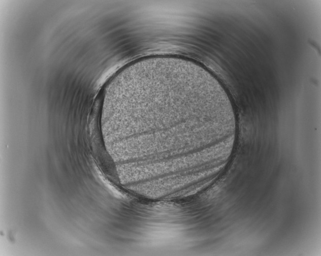 X0000098160842200805151227