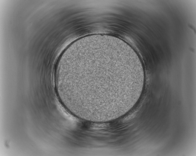 X0000098160843200805151227