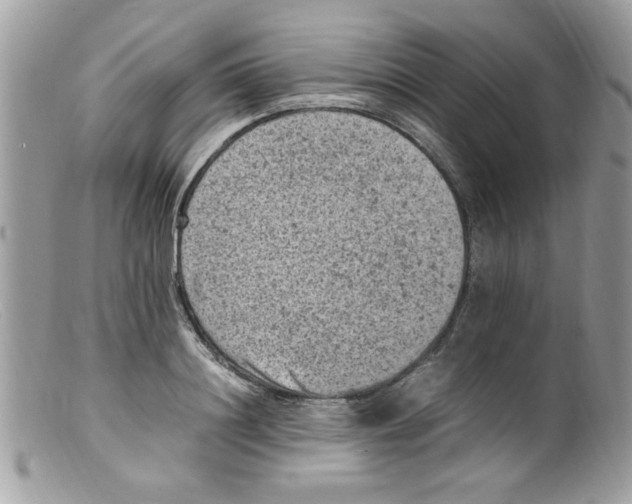 X0000098160844200805151227