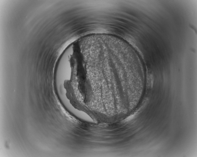 X0000098160845200805151227