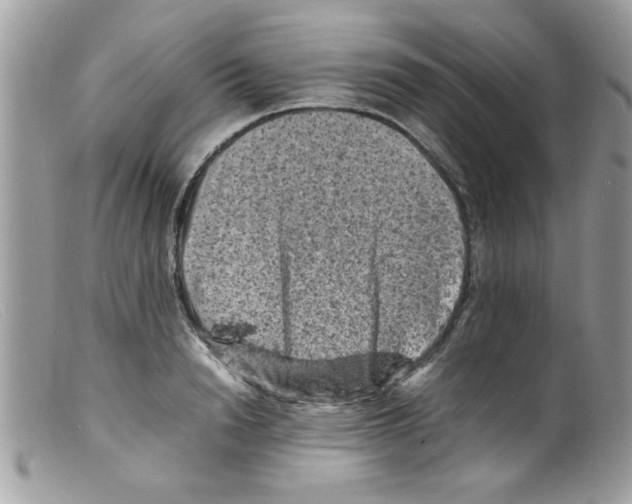 X0000098160846200805151227