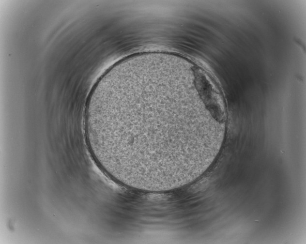 X0000098160847200805151227