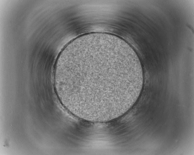 X0000098160848200805151227