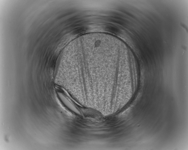 X0000098160849200805151227